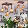 Chehalis ceiling light, globe light Amber, Smoke-coloured, 5-light sources