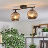 Ripoll ceiling light, globe light Smoke-coloured, 2-light sources