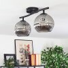 Ripoll ceiling light, globe light Smoke-coloured, 2-light sources