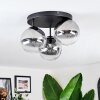 Chehalis ceiling light, globe light 34 cm clear, Smoke-coloured, 3-light sources