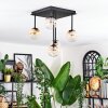 Chehalis ceiling light, globe light Amber, clear, 5-light sources