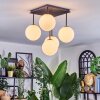 Chehalis ceiling light, globe light white, 5-light sources