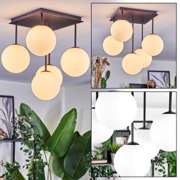 Chehalis ceiling light, globe light white, 5-light sources