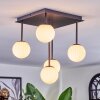 Chehalis ceiling light, globe light white, 5-light sources