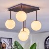 Chehalis ceiling light, globe light white, 5-light sources