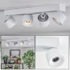 Narel ceiling light, ceiling spotlight LED white, 4-light sources