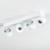 Narel ceiling light, ceiling spotlight LED white, 4-light sources