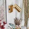Javel wall light, wall spotlight gold, 1-light source