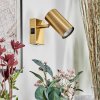 Javel wall light, wall spotlight gold, 1-light source