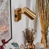 Javel wall light, wall spotlight gold, 1-light source