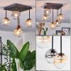 Chehalis ceiling light, globe light Amber, clear, Smoke-coloured, 5-light sources