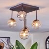 Chehalis ceiling light, globe light Amber, clear, Smoke-coloured, 5-light sources