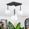 Chehalis ceiling light, globe light white, 5-light sources