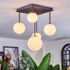 Chehalis ceiling light, globe light white, 5-light sources