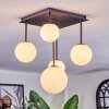 Chehalis ceiling light, globe light white, 5-light sources