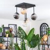 Chehalis ceiling light, globe light Amber, clear, Smoke-coloured, 5-light sources