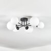 Chehalis ceiling light, globe light white, 6-light sources