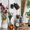 Fallhagen wall light, wall spotlight black, 1-light source