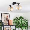 Koyoto ceiling light, globe light Amber, clear, 2-light sources