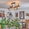 Koyoto ceiling light, globe light gold, black, 8-light sources