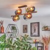 Koyoto ceiling light, globe light gold, black, 8-light sources