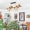 Koyoto ceiling light, globe light gold, black, 8-light sources