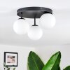 Chehalis ceiling light, globe light white, 3-light sources