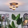 Chehalis ceiling light, globe light Smoke-coloured, 3-light sources