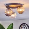 Chehalis ceiling light, globe light Amber, clear, Smoke-coloured, 3-light sources