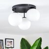 Chehalis ceiling light, globe light white, 3-light sources