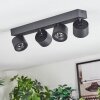 Narel ceiling light, ceiling spotlight LED black, 4-light sources