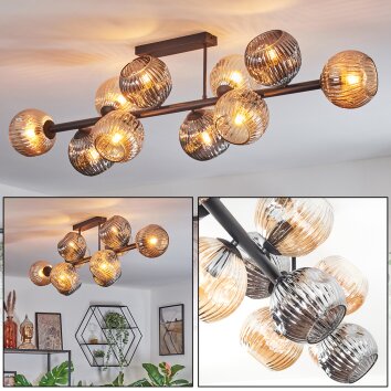 Ripoll ceiling light, globe light Amber, Smoke-coloured, 10-light sources