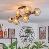 Ripoll ceiling light, globe light Amber, clear, Smoke-coloured, 10-light sources