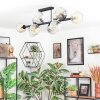 Ripoll ceiling light, globe light Amber, clear, Smoke-coloured, 10-light sources