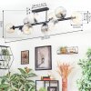 Ripoll ceiling light, globe light Amber, clear, Smoke-coloured, 10-light sources