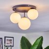Chehalis ceiling light, globe light 30 cm white, 3-light sources