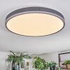 Salmi ceiling light, Panel LED grey, silver, 1-light source, Remote control