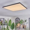 Barullu ceiling light, Panel LED black, white, 1-light source