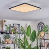 Barullu ceiling light, Panel LED black, white, 1-light source