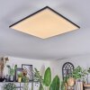 Barullu ceiling light, Panel LED black, white, 1-light source