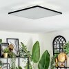 Barullu ceiling light, Panel LED black, white, 1-light source