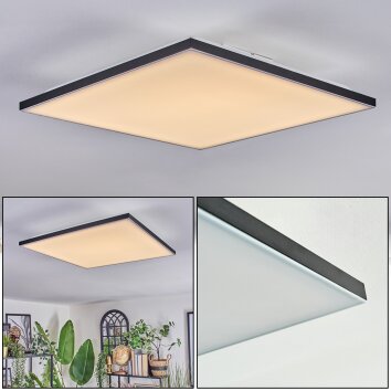 Barullu ceiling light, Panel LED black, white, 1-light source