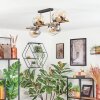Koyoto ceiling light, globe light gold, black, 8-light sources