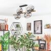 Koyoto ceiling light, globe light gold, black, 8-light sources