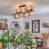 Koyoto ceiling light, globe light gold, black, 8-light sources