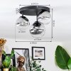 Chehalis ceiling light, globe light 30 cm clear, Smoke-coloured, 3-light sources