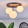 Chehalis ceiling light, globe light 30 cm white, 3-light sources