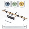 Koyoto ceiling light, globe light gold, black, 8-light sources