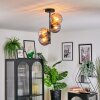 Koyoto ceiling light, globe light 31 cm Amber, Smoke-coloured, 4-light sources