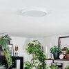 Finsrud ceiling light, Panel LED white, 1-light source
